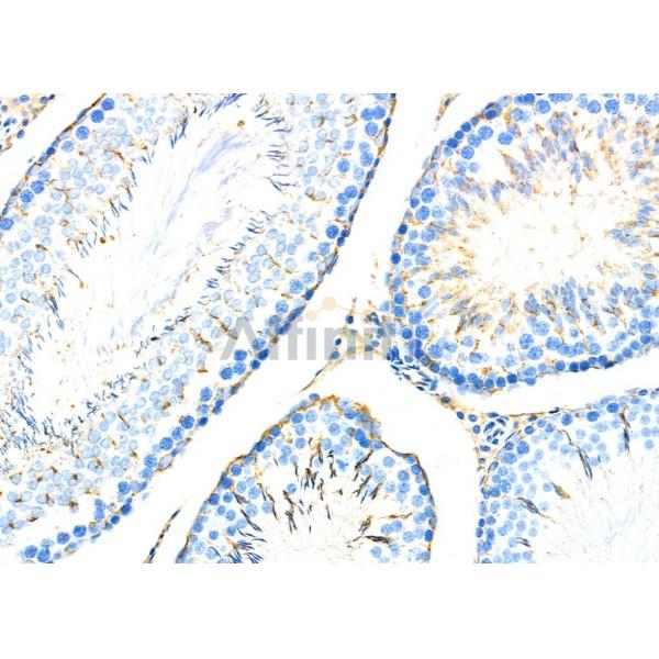 Валидация Affinity DF3739 - 14802