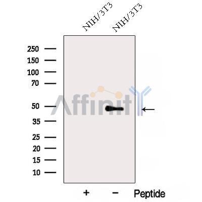 Валидация Affinity DF12826 - 7539
