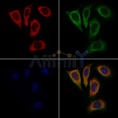 Валидация Affinity DF3962 - 15173