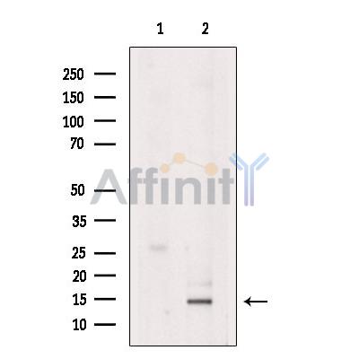 Валидация Affinity DF2240 - 12781