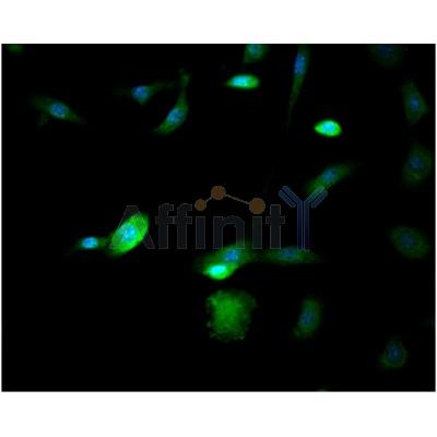 Валидация Affinity BF0712 - 5384