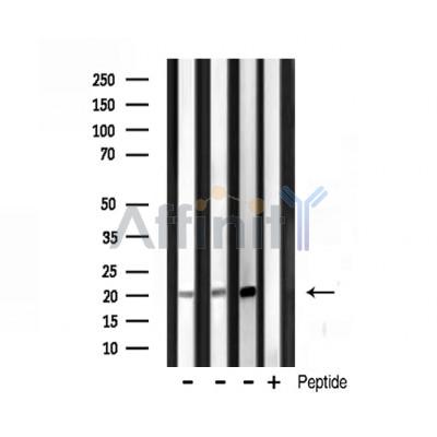 Валидация Affinity DF3073 - 13810