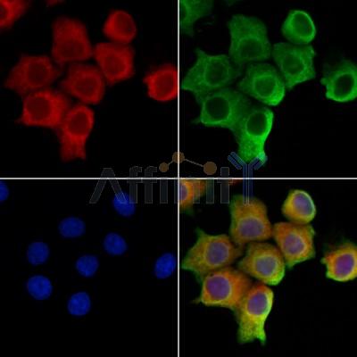 Валидация Affinity DF12323 - 6724