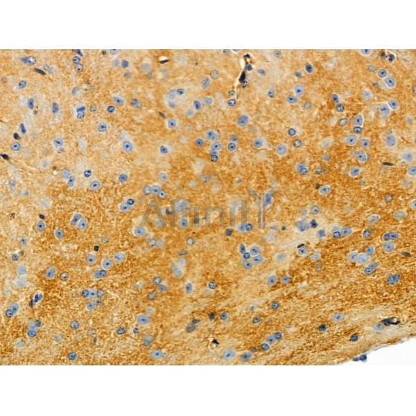 Валидация Affinity DF4698 - 16380