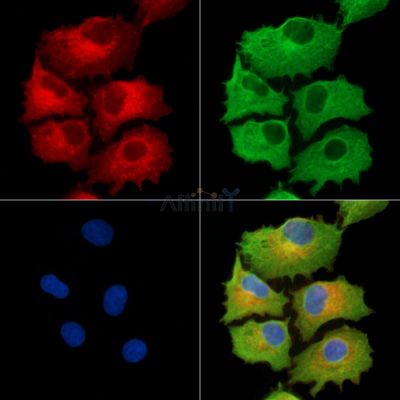 Валидация Affinity DF9664 - 22419