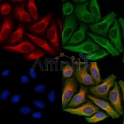 Валидация Affinity DF10259 - 5857