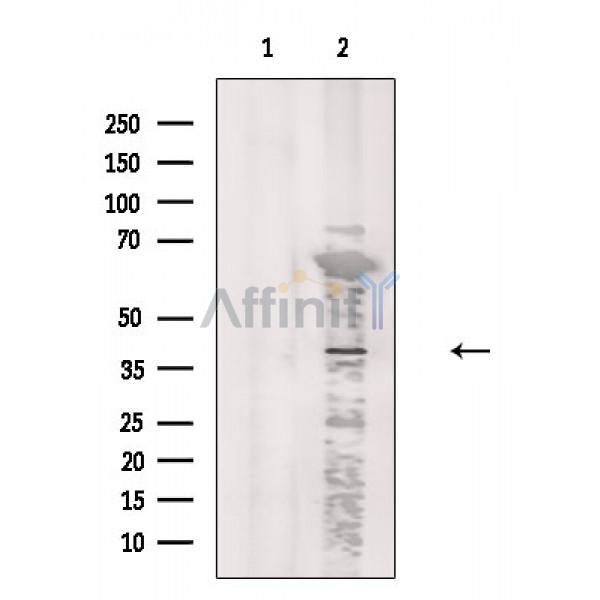 Валидация Affinity DF8643 - 20595