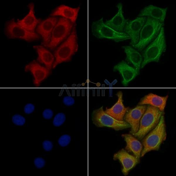 Валидация Affinity DF4963 - 16803