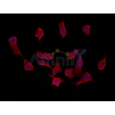 Валидация Affinity DF12247 - 6564