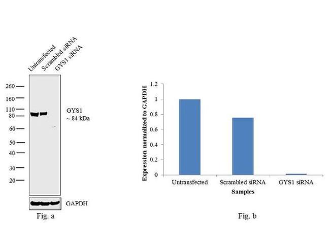 Валидация AssayVector ARM2693(5118)