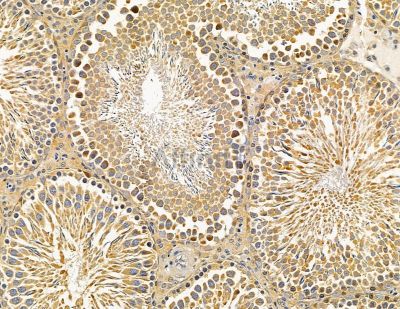 Валидация Affinity DF15046 - 11267