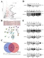 Валидация AssayVector ARM2136(3443)