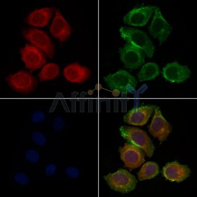 Валидация Affinity DF7392 - 19123