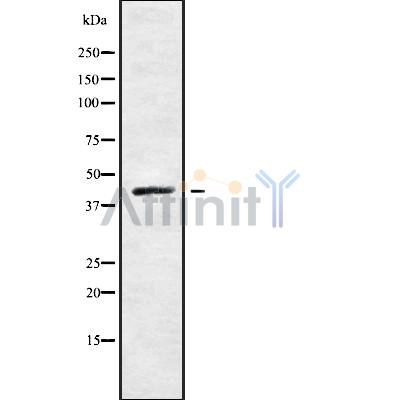 Валидация Affinity DF10025 - 5473