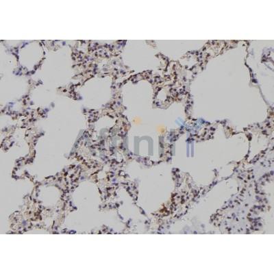 Валидация Affinity DF6685 - 18181