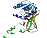 Protein Arginine Methyltransferase 6 (PRMT6)