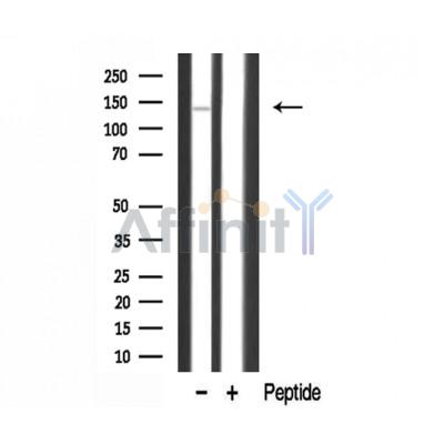 Валидация Affinity DF3306 - 14171