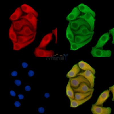 Валидация Affinity DF14434 - 10391