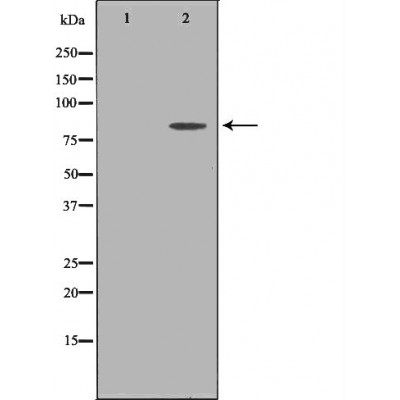Валидация Affinity DF6802 - 18376