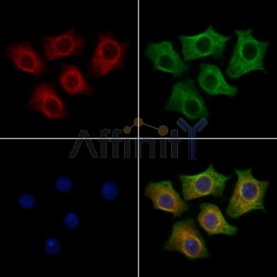 Валидация Affinity DF13125 - 8047