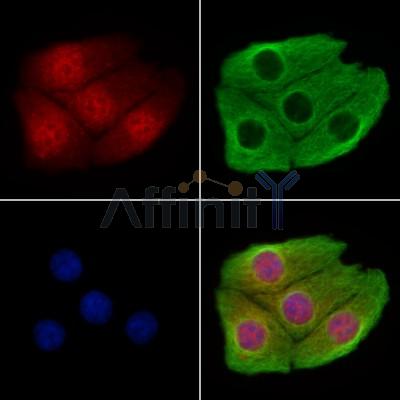 Валидация Affinity DF13295 - 8428