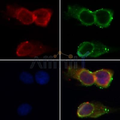 Валидация Affinity AF5268 - 2788