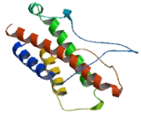 Interleukin 23 (IL23) Interleukin 23 (IL23)