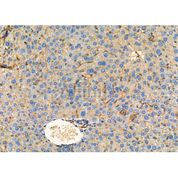 Валидация Affinity AF6716 - 3970