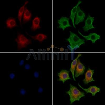 Валидация Affinity DF13124 - 8044