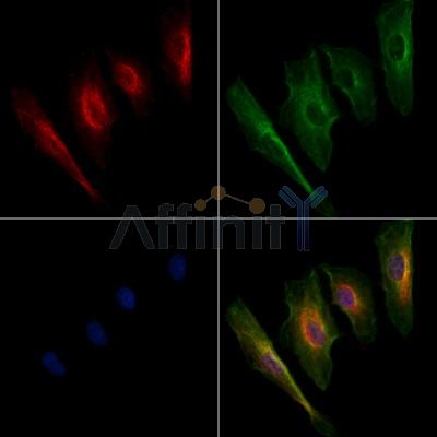 Валидация Affinity AF6264 - 3516