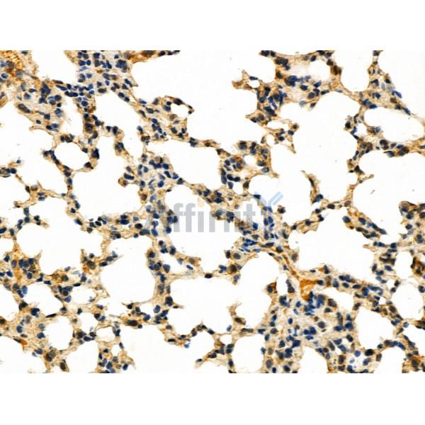 Валидация Affinity DF4923 - 16741