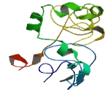 EGF Like Module Containing Mucin Like Hormone Receptor 1 (EMR1) EGF Like Module Containing Mucin Like Hormone Receptor 1 (EMR1)