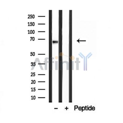Валидация Affinity DF12209 - 6471