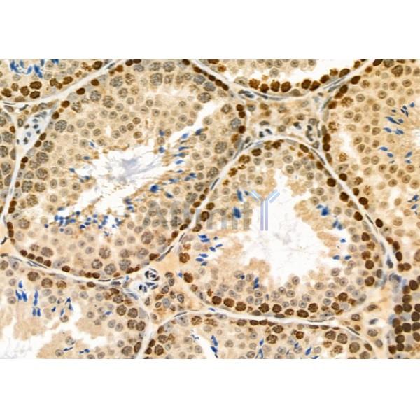 Валидация Affinity DF8868 - 20966