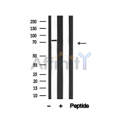 Валидация Affinity AF4732 - 2351