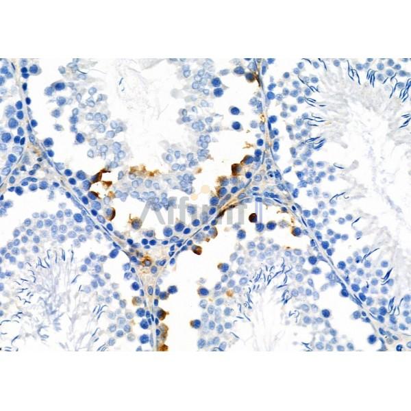 Валидация Affinity DF7148 - 18799