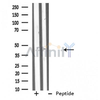 Валидация Affinity DF3782 - 14883