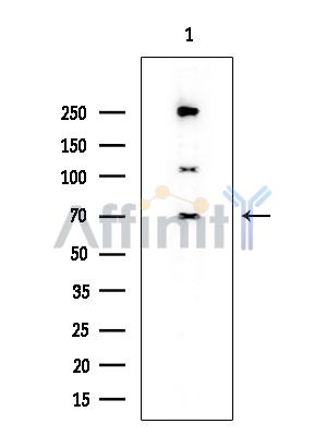 Валидация Affinity DF7392 - 19122