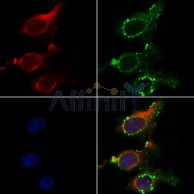 Валидация Affinity AF5346 - 2940