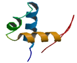 SWI/SNF Related, Matrix Associated, Actin Dependent Regulator Of Chromatin, Subfamily C, Member 2 (SMARCC2)