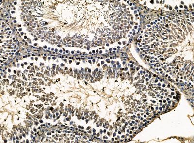 Валидация Affinity DF14261 - 10118