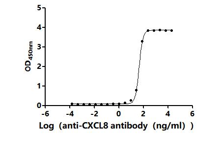 Функциональный ИФА: связывание рекомбинантного антитела к CXCL8
