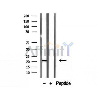 Валидация Affinity DF12175 - 6388