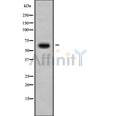 Валидация Affinity DF9444 - 22018
