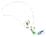 Cluster Of Differentiation 97 (CD97) Cluster Of Differentiation 97 (CD97)