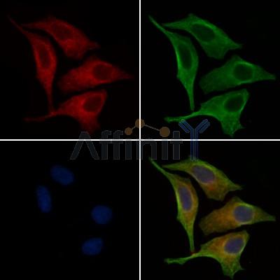 Валидация Affinity AF6285 - 3546