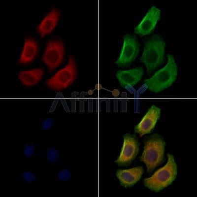 Валидация Affinity AF7840 - 4570