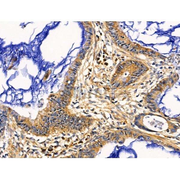 Валидация Affinity AF5332 - 2908