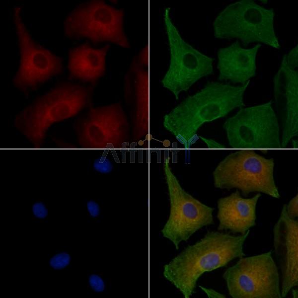 Валидация Affinity DF13225 - 8259