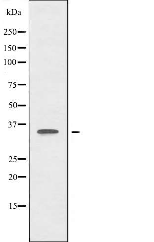 Валидация Affinity DF3287 - 14152